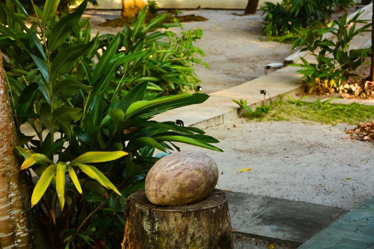 Pousada Vila Palma Boipeba Velha Boipeba Extérieur photo
